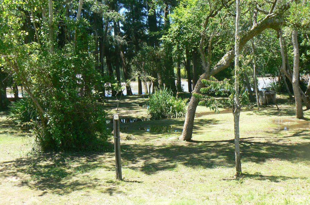 Posada Barlovento Tigre Szoba fotó