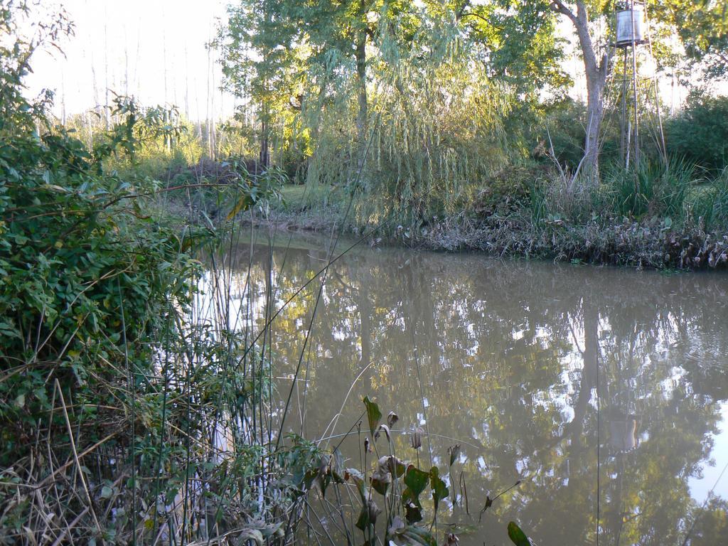Posada Barlovento Tigre Szoba fotó